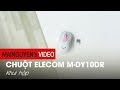 Đập hộp Elecom M-DY10DR: Chuột văn phòng, pin 266 giờ- www.mainguyen.vn