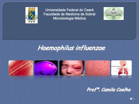 Vídeo: 3 maneiras de prevenir Haemophilus Influenzae tipo B (HIB) em crianças