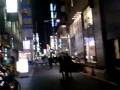 夜の蝶が舞う?銀座西五番街八~五丁目