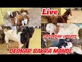 Deonar Bakra Mandi 2024 | Saturday Biggest Bakra Mandi Live Update &amp; Sauda |