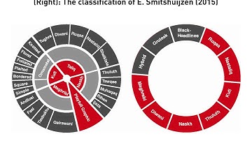 The New Arabic Type Classification System