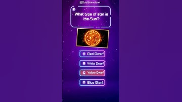 Think You’re a Genius? Prove It with These 5 Quiz Questions!