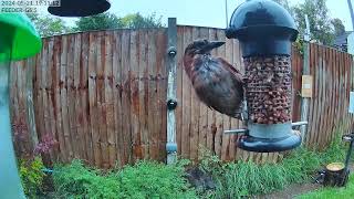 Feeding the family no matter what the weather does  21052024 19:10:57