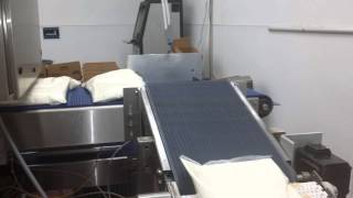Case Packer for Bags