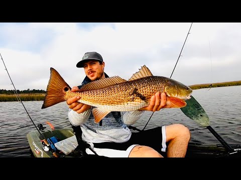 FLORIDA SALTWATER MARSH FISHING - SIGHT CASTING BIG TAILING REDFISH IN SHALLOW WATER!