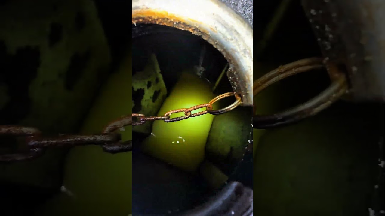 Мороз дело такое😅