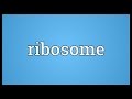 Ribosome Meaning