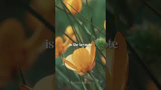 Simplicity #gentlereminders #mindfullness #dailyzen