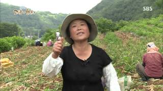 네트워크 현장 고향이 보인다 130730 다시보기 #1(6)