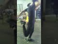 رقص ابو سنه مانو وبطوط لو عجبك ليك ومتنساش الشتراك