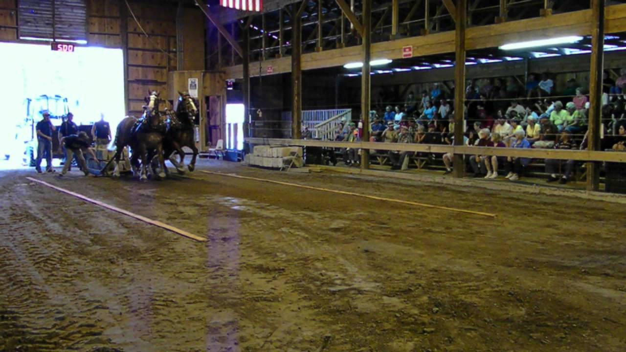 HOPKINTON STATE FAIR, CONTOOCOOK, NEW HAMPSHIRE....HORSE PULLS YouTube