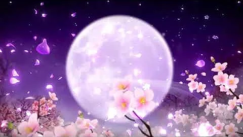 Magical Night  Fall Asleep In Under 5 MINUTES  Soo...
