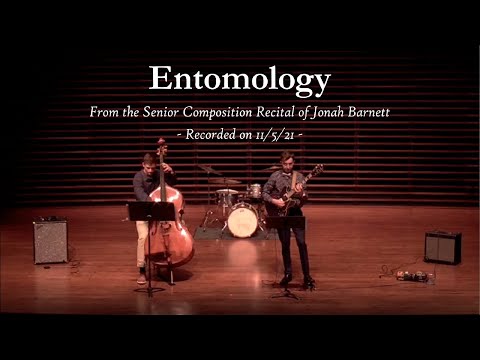 Entomology - Miniatures for Upright Bass and Guitar
