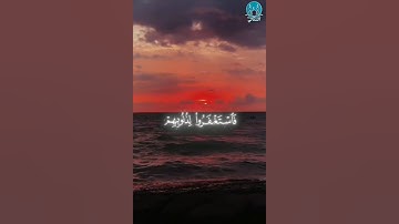 ﴿ وَالَّذِينَ إِذَا فَعَلُوا فَاحِشَةً...} سورةال عمران الأية:135 القارئ:محمد الليحدان