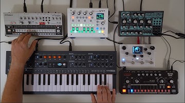 Arps and acid with Midicake ARP, Arturia Minifreak, TT-303, Dreadbox Erebus, Roland TR-06, Meris LVX