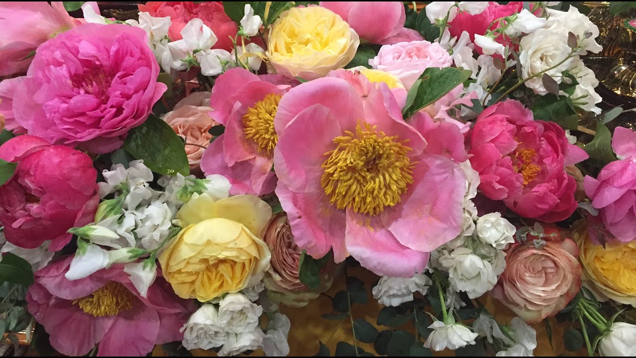 🔔 Hữu duyên là gì? 🌼☀️🎭 | Awareness  SAMON