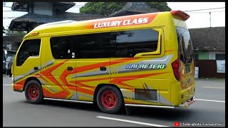 Elf Mania Community Indonesia