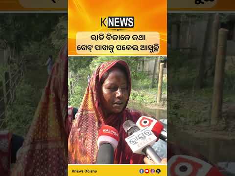 ମହାକାଳପଡ଼ା:  ରାତି ବିକାଳେ କଥା, ଗେଟ୍ ପାଖକୁ ପଳେଇ ଆସୁଛି #knewsodisha