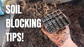 5 Soil Blocking Tips I've Learned So Far! :: Dig, Plant, Water, Repeat