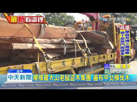 20191115中天新聞　破最大山老鼠集團　查近6千公斤一級林木