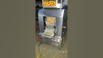 Automatic Capsule Loader
