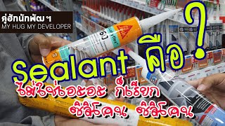 Sealant อุดรอย 5 ประเภท (ที่ช่างมักเรียกแต่ ซิลิโคน) l สร้างบ้าน Ep.47