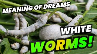 WHITE WORMS in Dream