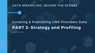 Curating and Publishing CMS Service Providers Data - PART 2:  Strategy and Profiling