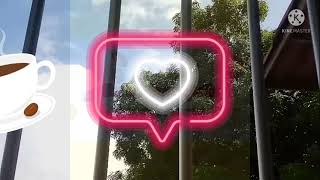 Fazendo Meu Café Da Manhã,Arrumando A Cama E Mais