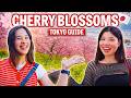 The Best Places to See Cherry Blossoms in Tokyo 2026
