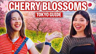 Tokyo Cherry Blossom Guide