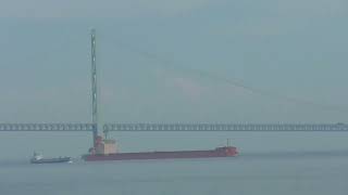 Bulk Carrier Pan Flower 7 2023