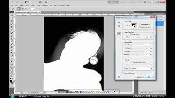 Photoshop CS5: Refine Edge