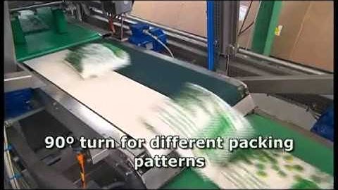 CPS Case Packing Systems - CP 201