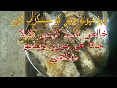 100% khalis shad kese nikala jata hel خالص شہد