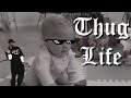 Thug Life Kids And Animals Thug Life Crianças E Animais 4 mp3
