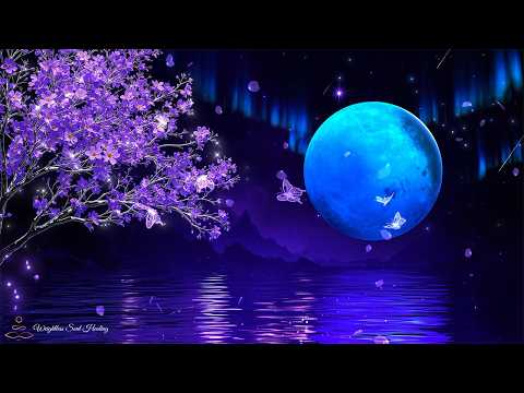 (No Ads) Deep Sleep Music ★︎ Calm Your Mind, Body & Soul ★︎ Natural Sleep Support