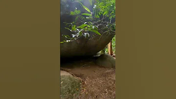 Mossman Gorge In 60 Seconds Queensland Australia 