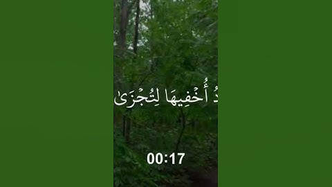 وأنا اخترتك فاستمع لما يوحى"(سورة طه، الآية 13) #المصحف #اكسبلور
