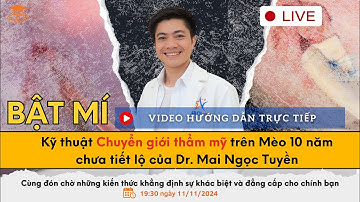 Hướng dẫn trực tiếp: Kỹ thuật Chuyển giới thẩm mỹ trên Mèo 10 năm chưa tiết lộ của Dr.Mai Ngọc Tuyền