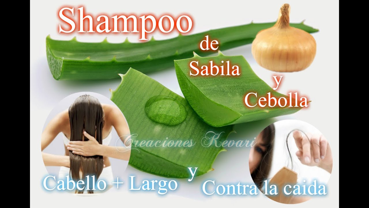 Shampoo de Sabila y Cebolla Evita la caída Cabello, anticaspa, cabello mas  largo en 7 días - YouTube