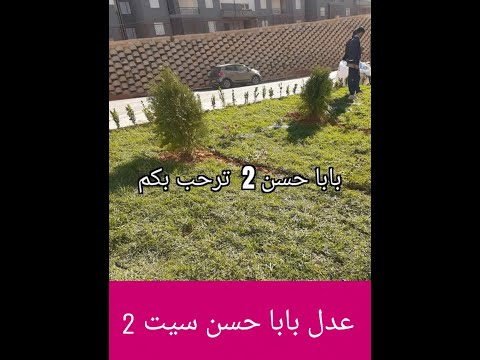 بابا حسن سيت 2 ايلو 11 وايلو 12 جهة 4 لي يطلو على الاكمالية الحمد لله الحالة تتحرك بالايجاب