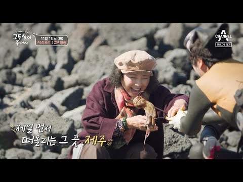 [<strong>예고</strong>] ＂<strong>이게</strong> 제주도지~＂ 제주로 떠난 고두심의 아주 특별한 하루 | 엄마의 여행 고두심이 좋아서 30 회