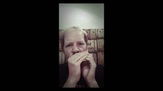 Seneca Square Dance (aka Waiting for the Federals) - Harmonica (+Tabs)