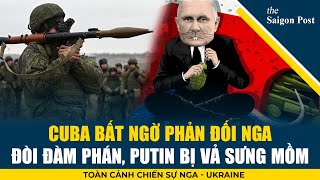 ? Thế lực canh giữ hòa bình thế giới phản đối cuộc chiến của Nga; Đòi đàm phán, Putin bị vả sưng mồm