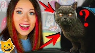 У МЕНЯ ДОМА КОШКА ! А КАК ЖЕ СОБАКА ??? НОВЫЙ ПИТОМЕЦ ПЕРВЫЙ ДЕНЬ | Elli Di Pets