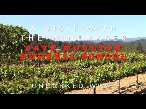 We Are Open!, Burrell School Vineyards & Winery
