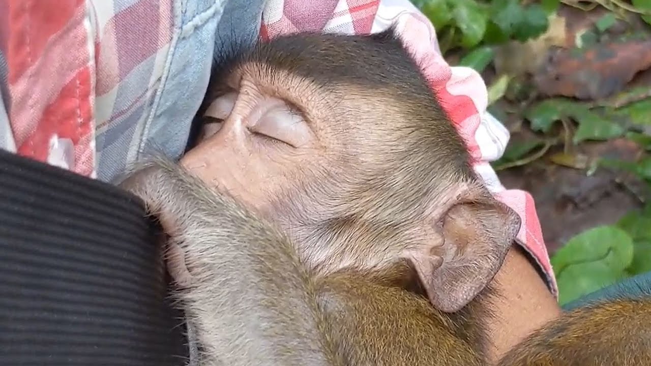 Sweetpea JR and Barry look so warm now