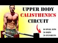 Upper Body Circuit Workout: 400 REPS (Pull Ups, Dips, Pushups)