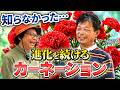 訪問編~矢祭園芸~知らなかった…進化を続けるカーネーション~ガーデンドクターTV92